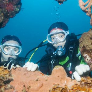 Scuba Diving in Antalya – Kemer